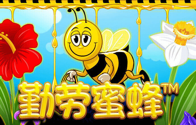 港澳宝典最新版66039亮点
